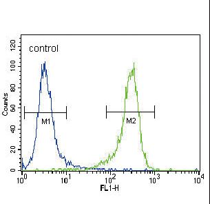 UCHL1 Antibody flow cytometry of NCI-H460 cells (right histogram) compared to a negative control cell (left histogram). FITC-conjugated goat-anti-rabbit secondary antibodies were used for the analysis.