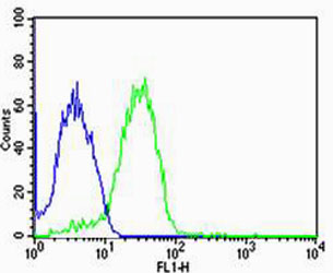Flow cytometric of MCF-7 cells with UIMC1 Antibody (green) compared to an isotype control of rabbit IgG (blue). Antibody was diluted at 1:25 dilution. An Alexa Fluor 488 goat anti-rabbit lgG at 1:400 dilution was used as the secondary antibody.