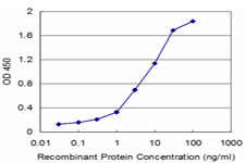 Detection limit for recombinant GST tagged UMPS is approximately 0.1 ng/ml as a capture antibody.