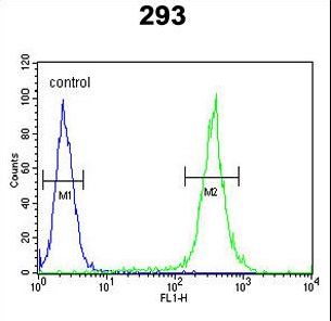 UNC13B Antibody flow cytometry of 293 cells (right histogram) compared to a negative control cell (left histogram). FITC-conjugated goat-anti-rabbit secondary antibodies were used for the analysis.
