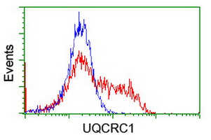 HEK293T cells transfected with either overexpress plasmid (Red) or empty vector control plasmid (Blue) were immunostained by anti-UQCRC1 antibody, and then analyzed by flow cytometry.