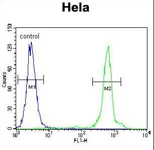 UQCRFS1 Antibody flow cytometry of HeLa cells (right histogram) compared to a negative control cell (left histogram). FITC-conjugated goat-anti-rabbit secondary antibodies were used for the analysis.