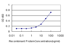 Detection limit for recombinant GST tagged UROS is approximately 1 ng/ml as a capture antibody.