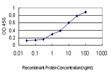 Detection limit for recombinant GST tagged USP5 is approximately 0.03 ng/ml as a capture antibody.
