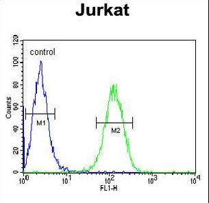 UTP6 Antibody flow cytometry of Jurkat cells (right histogram) compared to a negative control cell (left histogram). FITC-conjugated goat-anti-rabbit secondary antibodies were used for the analysis.