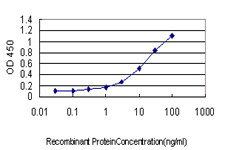 Detection limit for recombinant GST tagged PLA2G4A is approximately 0.3 ng/ml as a capture antibody.