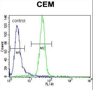 PPARA Antibody flow cytometry of CEM cells (right histogram) compared to a negative control cell (left histogram). FITC-conjugated goat-anti-rabbit secondary antibodies were used for the analysis.