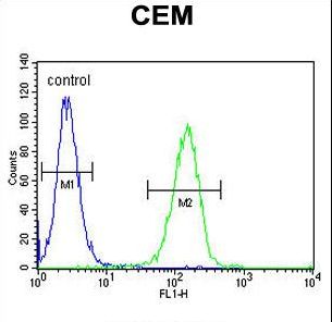 FAM105B Antibody flow cytometry of CEM cells (right histogram) compared to a negative control cell (left histogram). FITC-conjugated goat-anti-rabbit secondary antibodies were used for the analysis.