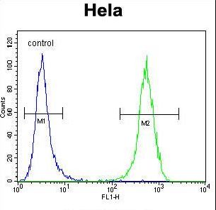 WFDC1 Antibody (C-term H163) flow cytometry of HeLa cells (right histogram) compared to a negative control cell (left histogram). FITC-conjugated goat-anti-rabbit secondary antibodies were used for the analysis.