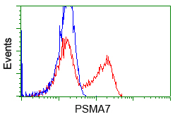 HEK293T cells transfected with either pCMV6-ENTRY PSMA7 (Red) or empty vector control plasmid (Blue) were immunostained with anti-PSMA7 mouse monoclonal(Dilution 1:1,000), and then analyzed by flow cytometry.