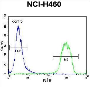 RAD54 Antibody flow cytometry of NCI-H460 cells (right histogram) compared to a negative control cell (left histogram). FITC-conjugated goat-anti-rabbit secondary antibodies were used for the analysis.