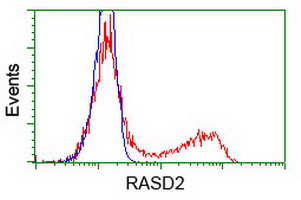 HEK293T cells transfected with either overexpress plasmid (Red) or empty vector control plasmid (Blue) were immunostained by anti-RASD2 antibody, and then analyzed by flow cytometry.