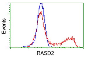 HEK293T cells transfected with either overexpress plasmid (Red) or empty vector control plasmid (Blue) were immunostained by anti-RASD2 antibody, and then analyzed by flow cytometry.