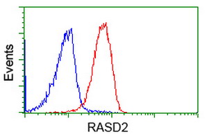 Flow cytometry of Jurkat cells, using anti-RASD2 antibody (Red), compared to a nonspecific negative control antibody (Blue).