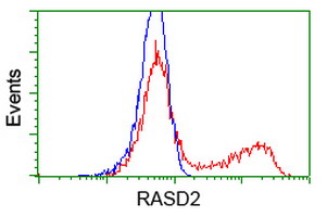 HEK293T cells transfected with either overexpress plasmid (Red) or empty vector control plasmid (Blue) were immunostained by anti-RASD2 antibody, and then analyzed by flow cytometry.