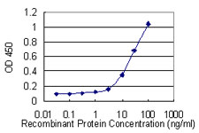 Detection limit for recombinant GST tagged REEP5 is 1 ng/ml as a capture antibody.