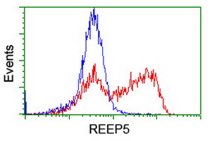 HEK293T cells transfected with either overexpress plasmid (Red) or empty vector control plasmid (Blue) were immunostained by anti-REEP5 antibody, and then analyzed by flow cytometry.