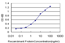 Detection limit for recombinant GST tagged RIPK2 is approximately 0.1 ng/ml as a capture antibody.
