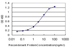 Detection limit for recombinant GST tagged RIPK2 is approximately 0.1 ng/ml as a capture antibody.