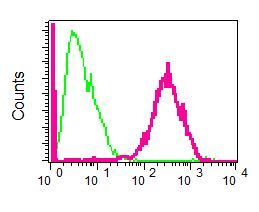 Flow cytometry of permeabilized 293T cells using anti-SELP antibody (red)or a rabbit IgG (negative) (green).