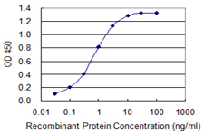 Detection limit for recombinant GST tagged SLC7A1 is 0.03 ng/ml as a capture antibody.