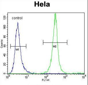 SRGN Antibody flow cytometry of HeLa cells (right histogram) compared to a negative control cell (left histogram). FITC-conjugated goat-anti-rabbit secondary antibodies were used for the analysis.