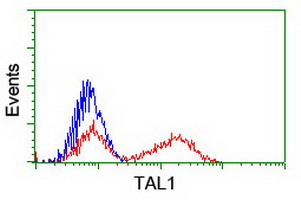 HEK293T cells transfected with either overexpress plasmid (Red) or empty vector control plasmid (Blue) were immunostained by anti-TAL1 antibody, and then analyzed by flow cytometry.