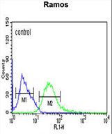 PHGDH Antibody flow cytometry of Ramos cells (right histogram) compared to a negative control cell (left histogram). FITC-conjugated goat-anti-rabbit secondary antibodies were used for the analysis.