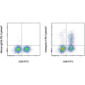 Balb/c splenocytes were cultured with Anti-Mouse CD3e and Anti-Mouse CD28 Functional Grade Purified... View More