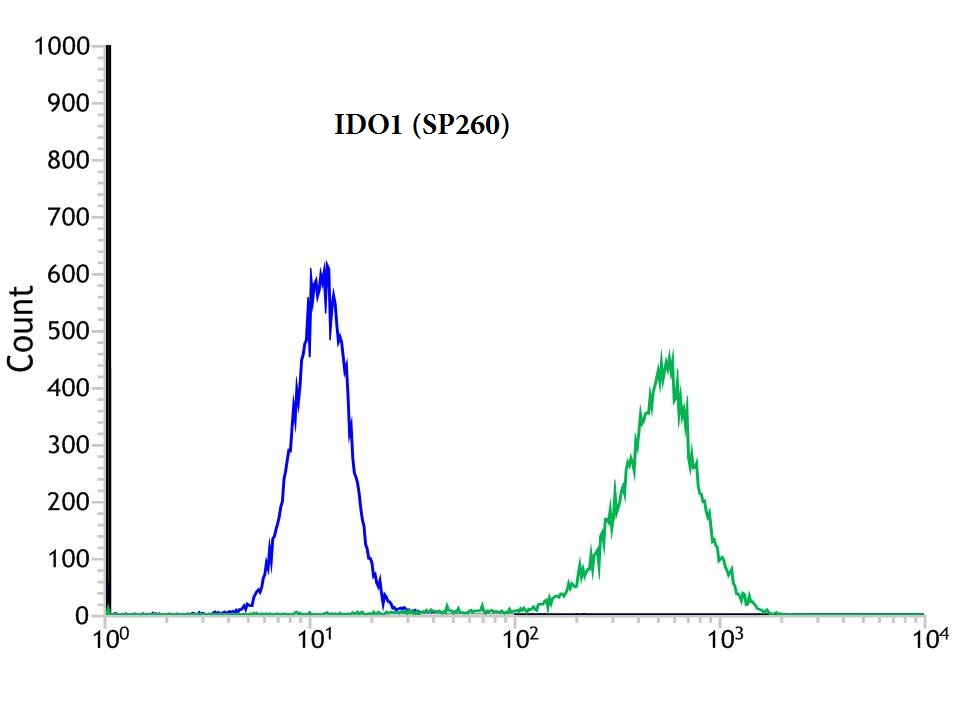 Flow cytometric analysis of rabbit anti-IDO1 (SP260) antibody in HeLa treated with IFN-gamma cells (green) compare to negative control of rabbit IgG (blue)  