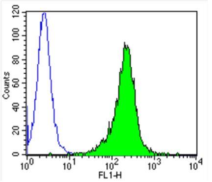 Flow Cytometry: Importin beta Antibody (3E9) [NB120-2811] - Analysis of Importin beta-1 in Jurkat cells (green) compared to an isotype control (blue).