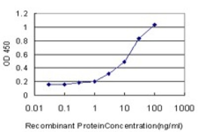 Sandwich ELISA: Antizyme inhibitor 1 Antibody (8B9) [H00051582-M01] - Detection limit for recombinant GST tagged AZIN1 is approximately 0.3ng/ml as a capture antibody.