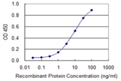 Sandwich ELISA: Growth Hormone 2 Antibody (1D10) [H00002689-M02] - Detection limit for recombinant GST tagged GH2 is 0.3 ng/ml as a capture antibody.