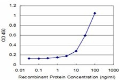 Sandwich ELISA: Nuclear Factor Erythroid Derived 2 Antibody (2C6) [H00004778-M01] - Detection limit for recombinant GST tagged NFE2 is approximately 3ng/ml as a capture antibody.