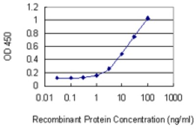 Sandwich ELISA: Uridine Phosphorylase 1/UPP1 Antibody (2F5) [H00007378-M01] - Detection limit for recombinant GST tagged UPP1 is 0.3 ng/ml as a capture antibody.