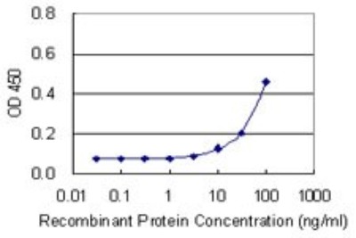 Sandwich ELISA: Cysteine Dioxygenase Type 1 Antibody (4B4) [H00001036-M09] - Detection limit for recombinant GST tagged CDO1 is 3 ng/ml as a capture antibody.
