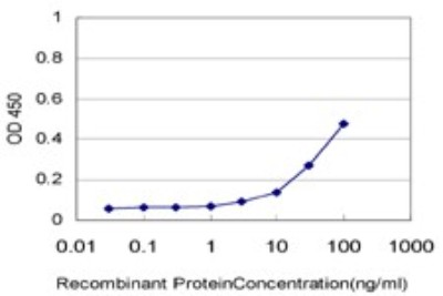 Sandwich ELISA: Prostaglandin E Synthase 2/PTGES2 Antibody (5B7) [H00080142-M01] - Detection limit for recombinant GST tagged PTGES2 is approximately 3ng/ml as a capture antibody.
