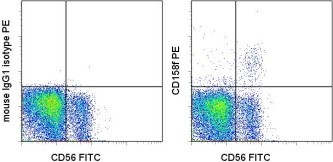 Immunocytochemistry/Immunofluorescence: KIR2DL5A Antibody (UP-R1) [PE] [NBP2-00190] - Staining of normal human peripheral blood cells with Anti-Human CD56 (NCAM) FITC and Mouse IgG1 kappa Isotype Control PE (left) or Anti-Human CD158 PE (right). Cells in the lymphocyte gate were used for analysis.