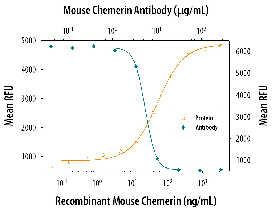 Neutralization Chemerin Antibody