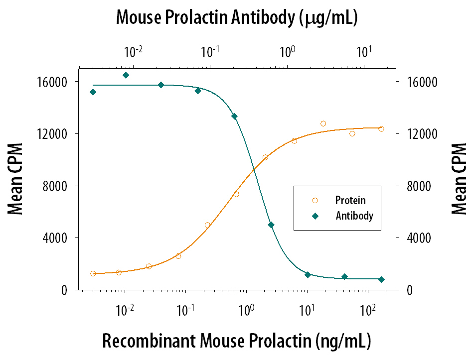 Neutralization Prolactin Antibody