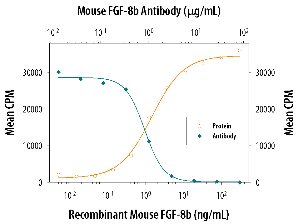 Neutralization FGF-8 Antibody
