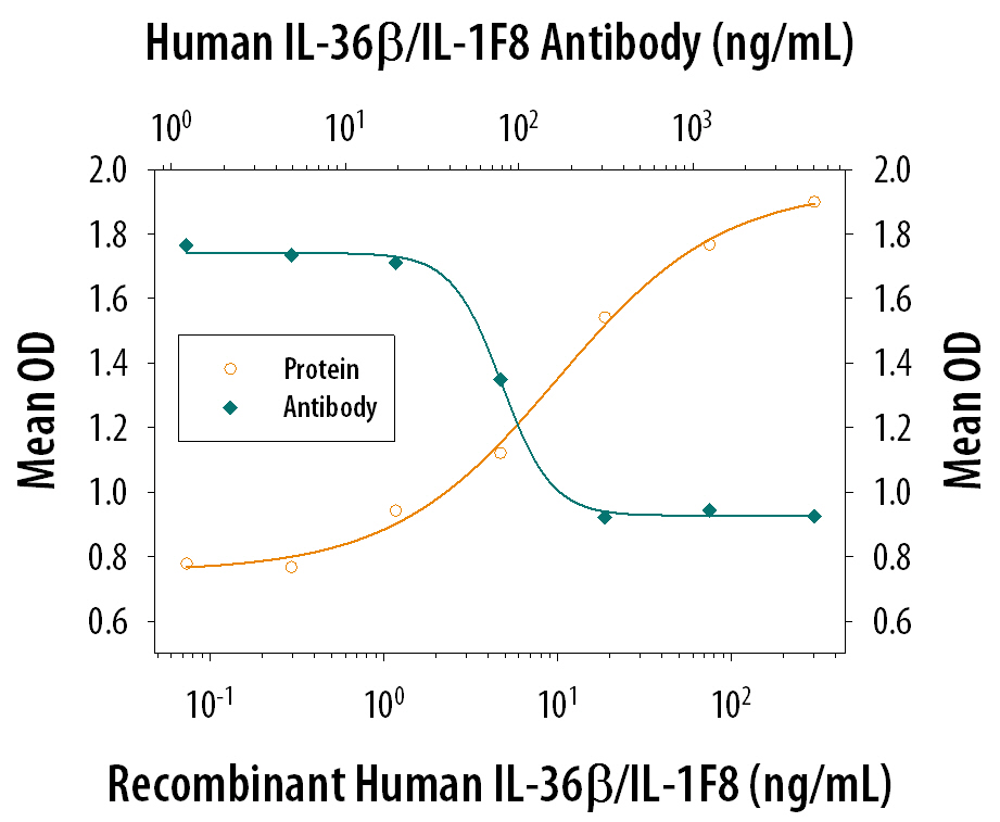 Neutralization IL-36 beta/IL-1F8 Antibody
