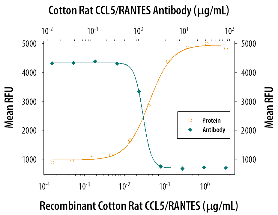 Neutralization CCL5/RANTES Antibody