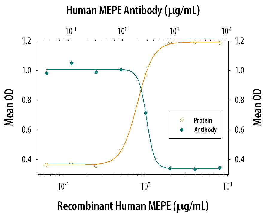 Neutralization MEPE/OF45 Antibody