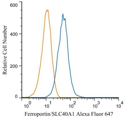 Flow Cytometry: Ferroportin/SLC40A1 Antibody [NBP1-21502] - An intracellular stain was performed on HepG2 cells with Ferroportin/SLC40A1 antibody NBP1-21502AF647 (blue) and a matched isotype control NBP2-24893AF647 (orange). Cells were fixed with 4% PFA and then permeablized with 0.1% saponin. Cells were incubated in an antibody dilution of 5 ug/mL for 30 minutes at room temperature. Both antibodies were conjugated to Alexa Fluor 647.