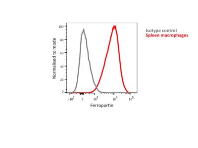 Flow Cytometry: Ferroportin/SLC40A1 Antibody [NBP1-21502] - Histogram of Ferroportin staining of human spleen macrophages using Alexa Fluor 700 conjugated Ferroportin antibody (red, catalog# NBP1-21502AF700) and isotype control (grey) as a negative control. Image from verified customer review.