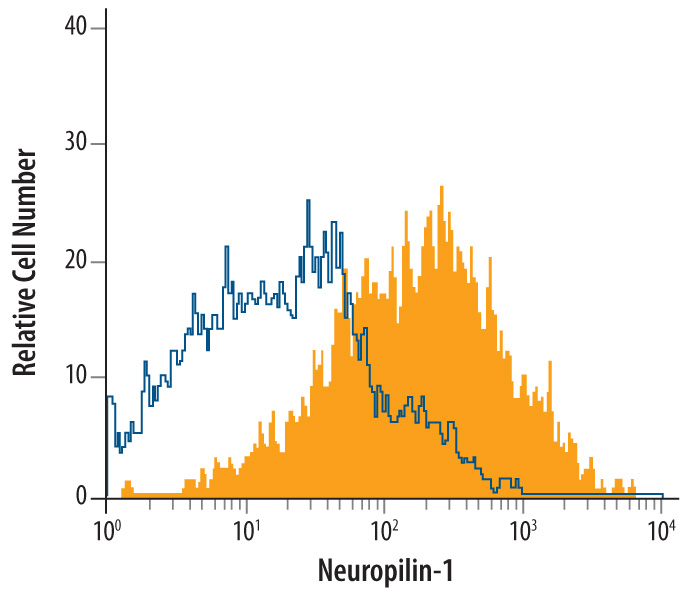 bEnd.3 mouse endothelioma cell line was stained with Goat Anti-Rat Neuropilin‑1 Antigen Affinity-purified Polyclonal Antibody (Catalog # AF566, filled histogram) or isotype control antibody (Catalog # AB‑108‑C, open histogram), followed by Allophycocyanin-conjugated Anti-Goat IgG Secondary Antibody (Catalog # F0108).