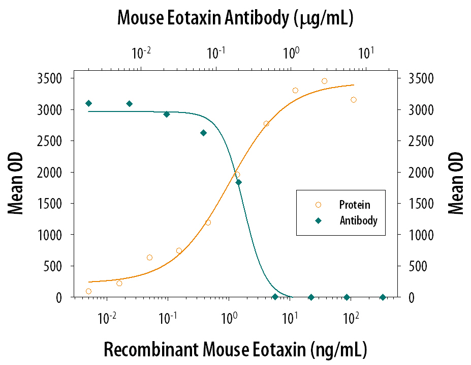 Recombinant Mouse CCL11/Eotaxin (Catalog # 420‑ME) chemoattracts the BaF3 mouse pro‑B cell line transfected with mouse CCR3 in a dose-dependent manner (orange line). The amount of cells that migrated through to the lower chemotaxis chamber was measured by Resazurin (Catalog # AR002). Chemotaxis elicited by Recombinant Mouse CCL11/Eotaxin (10 ng/mL) is neutralized (green line) by increasing concentrations of Goat Anti-Mouse CCL11/Eotaxin Antigen Affinity-purified Polyclonal Antibody (Catalog # AF-420-NA). The ND50 is typically0.1‑0.5 µg/mL.