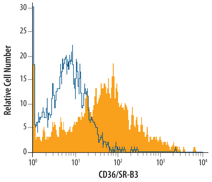 J774A.1 mouse reticulum cell sarcoma macrophage cell line was stained with Goat Anti-Mouse CD36/SR‑B3 Antigen Affinity-purified Polyclonal Antibody (Catalog # AF2519, filled histogram) or isotype control antibody (Catalog #AB-108-C, open histogram), followed by Phycoerythrin-conjugated Anti-Goat IgG Secondary Antibody (Catalog # F0107).