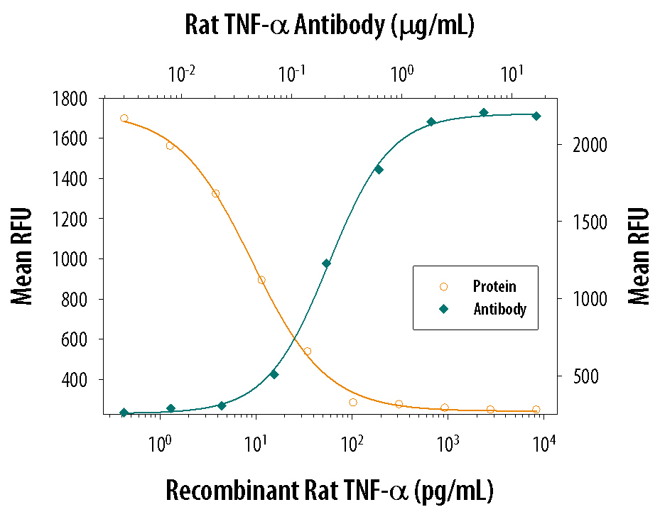 Recombinant Rat TNF‑ alpha  (Catalog # 510-RT) induces cytotoxicity in the the L‑929 mouse fibroblast cell line in a dose-dependent manner (orange line), as measured by Resazurin. Cytotoxicity elicited by Recombinant Rat TNF‑ alpha  (0.25 ng/mL) is neutralized (green line) by increasing concentrations of Goat Anti-Rat TNF‑ alpha  Antigen Affinity-purified Polyclonal Antibody (Catalog # AF-510-NA). The ND50 is typically 0.15‑0.75 µg/mL in the presence of the metabolic inhibitor actinomycin D (1 µg/mL).